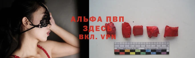 амф Алексин