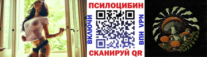 Псилоцибиновые грибы мицелий Богородицк