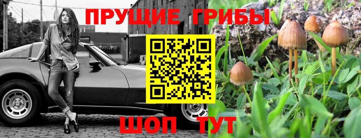 Псилоцибиновые грибы мухоморы  Вход с VPN  Богородицк 